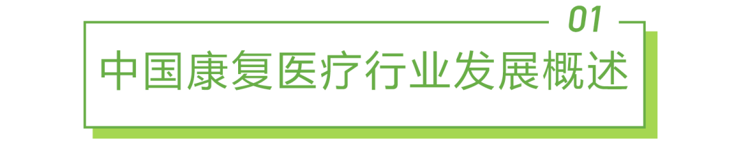 2022年中国康复医疗行业研究报告