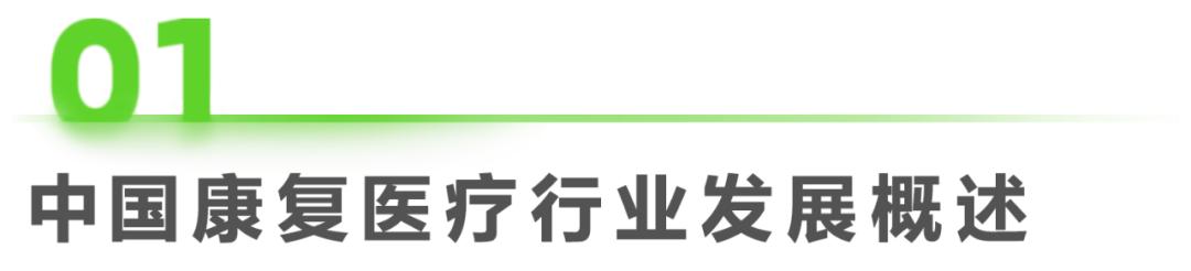 2022年中国康复医疗行业研究报告